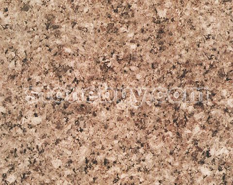 伊利斯彩虹麻, Rosa Iris