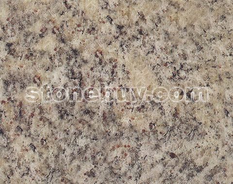 桑巴白, Samba White