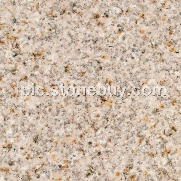 金钻红 G3591, G3591, Gloden Daimond-Red