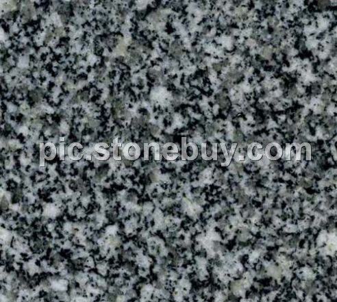 漳浦马头花, G3588, Zhuangpu Matou-Flower