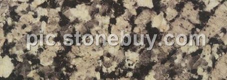 连城花, G3562, Liancheng Flower