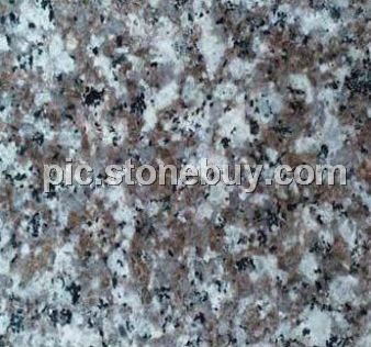 罗源紫罗兰, G3564, Luoyuan Violet