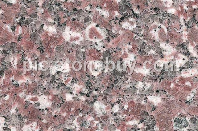 漳浦红, G3548, Zhangpu Red