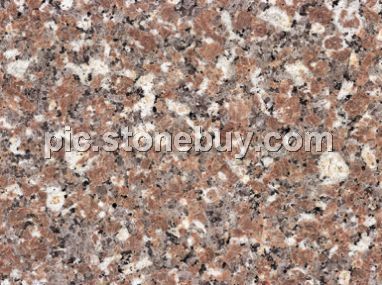 漳浦红, G3548, Zhangpu Red