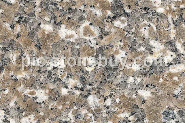 漳浦红, G3548, Zhangpu Red