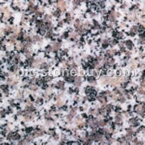 海沧白, G623, G3523, Haicang White