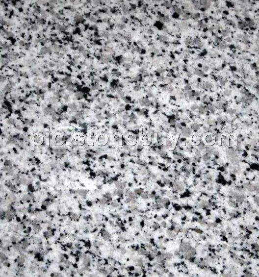 东石白, G640, G3540, Dongshi White