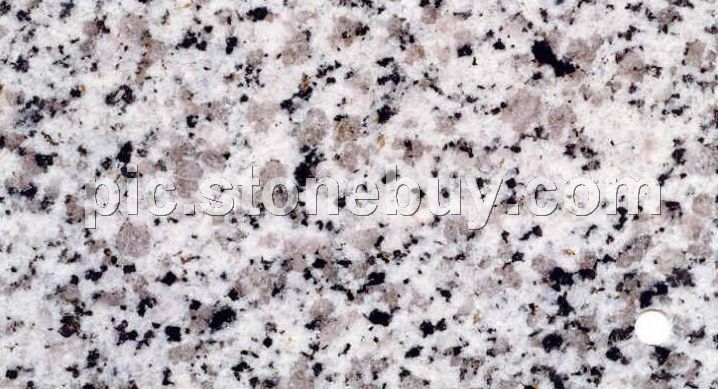 东石白, G640, G3540, Dongshi White