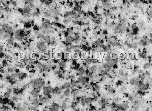 东石白, G640, G3540, Dongshi White