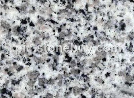 东石白, G640, G3540, Dongshi White