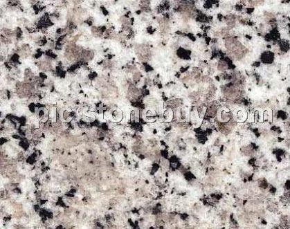 东石白, G640, G3540, Dongshi White