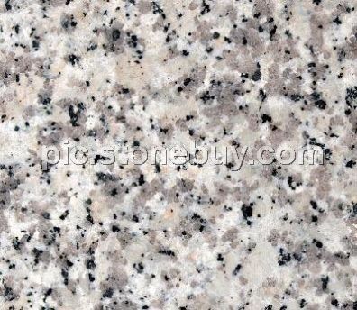 东石白, G640, G3540, Dongshi White