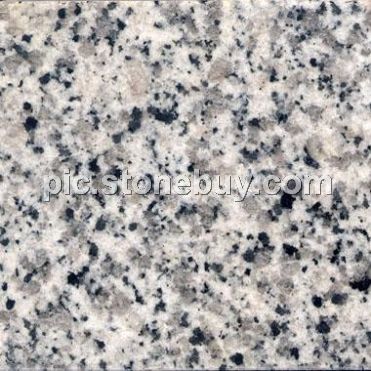 东石白, G640, G3540, Dongshi White