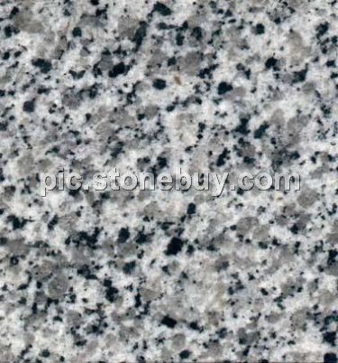 东石白, G640, G3540, Dongshi White