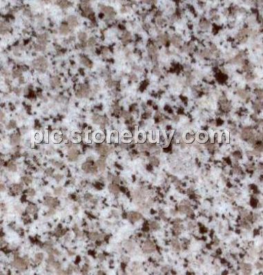 东石白, G640, G3540, Dongshi White