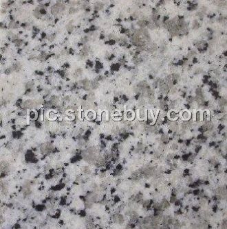 东石白, G640, G3540, Dongshi White