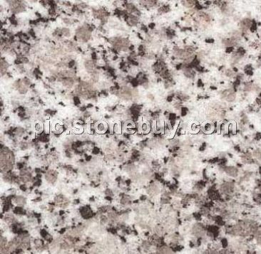 东石白, G640, G3540, Dongshi White