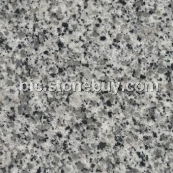 东石白, G640, G3540, Dongshi White