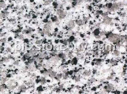 东石白, G640, G3540, Dongshi White