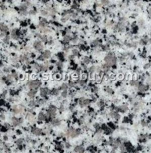 东石白, G640, G3540, Dongshi White