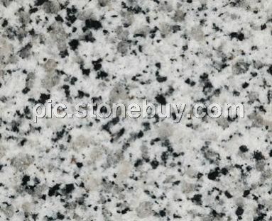 东石白, G640, G3540, Dongshi White