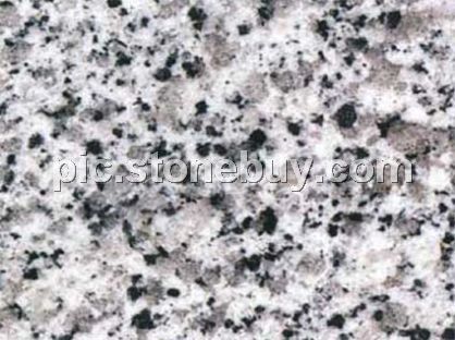 东石白, G640, G3540, Dongshi White