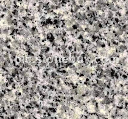 东石白, G640, G3540, Dongshi White