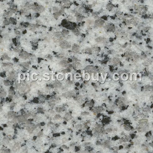 东石白, G640, G3540, Dongshi White