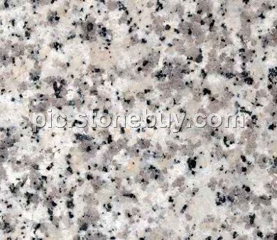 东石白, G640, G3540, Dongshi White