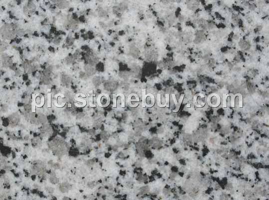 东石白, G640, G3540, Dongshi White