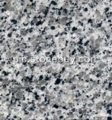 东石白, G640, G3540, Dongshi White