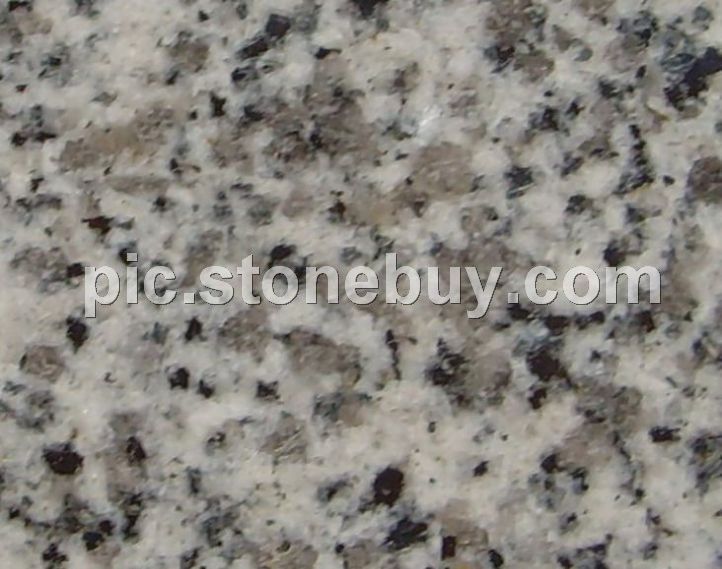 东石白, G640, G3540, Dongshi White