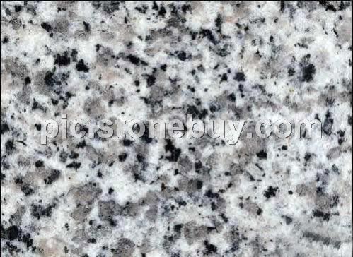 东石白, G640, G3540, Dongshi White