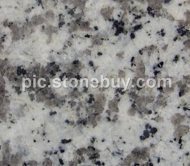 东石白, G640, G3540, Dongshi White