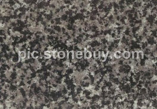 南山青, G3556, Nanshan Black