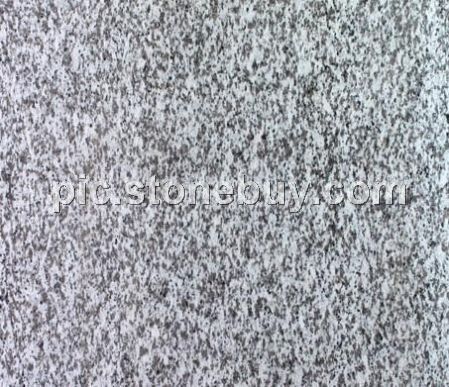 普宁大白花, G439, G4439, Puning White Coarse Grain