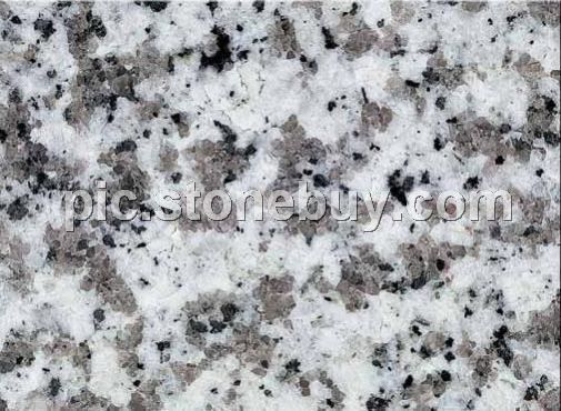 普宁大白花, G439, G4439, Puning White Coarse Grain