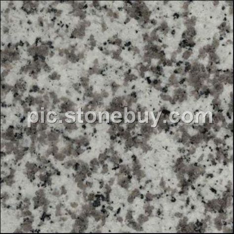 普宁大白花, G439, G4439, Puning White Coarse Grain