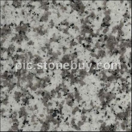 普宁大白花, G439, G4439, Puning White Coarse Grain