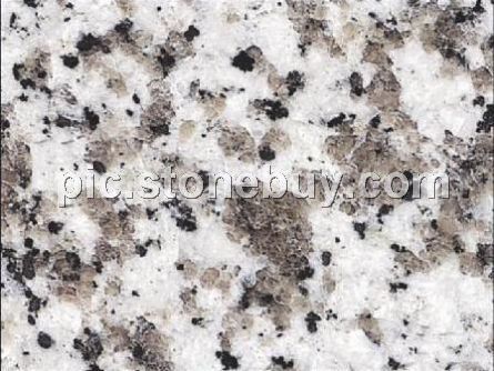 普宁大白花, G439, G4439, Puning White Coarse Grain