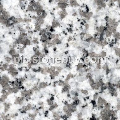 普宁大白花, G439, G4439, Puning White Coarse Grain