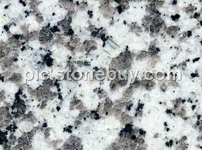 普宁大白花, G439, G4439, Puning White Coarse Grain