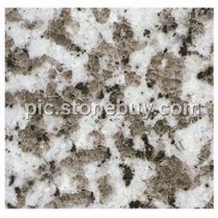 普宁大白花, G439, G4439, Puning White Coarse Grain