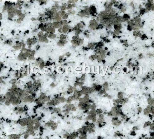 普宁大白花, G439, G4439, Puning White Coarse Grain