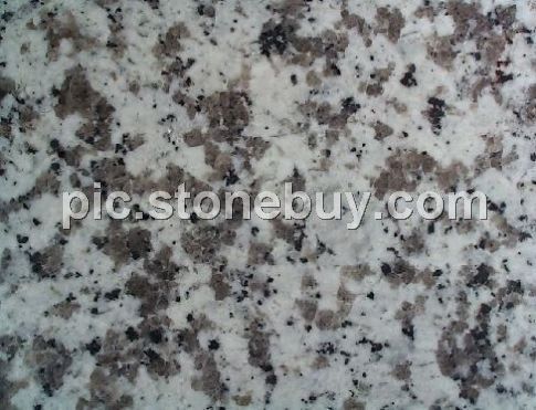 普宁大白花, G439, G4439, Puning White Coarse Grain