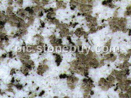 普宁大白花, G439, G4439, Puning White Coarse Grain