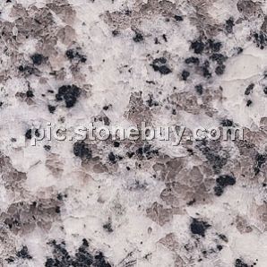 普宁大白花, G439, G4439, Puning White Coarse Grain