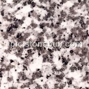 普宁大白花, G439, G4439, Puning White Coarse Grain