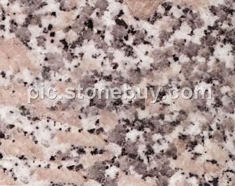 西丽红, G4454, Xili Red