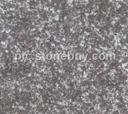 淇县森林绿, G4101, Qixian Forest Green